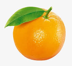 Orange Fruit | Orange fruit, Fruit clipart, Fruit photography