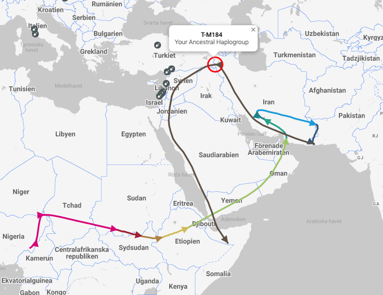 Migration of T-M184 | Somali Spot | Forum, News, Videos