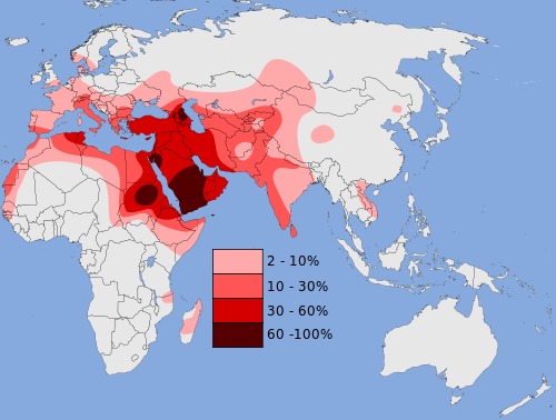 500px-haplogroup_j_y-dna__large.jpg