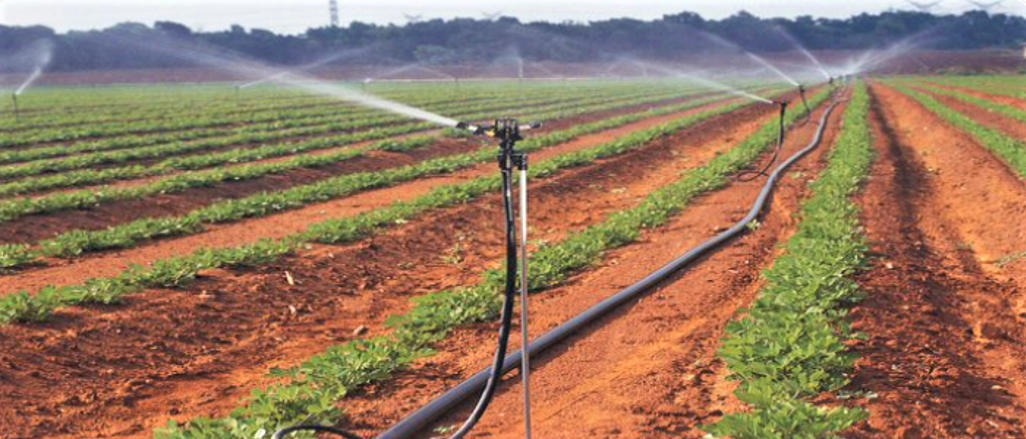 ACCESS IRRIGATION n.y. Several sprinkler heads are connected to a lateral pipe, which is suppl...png