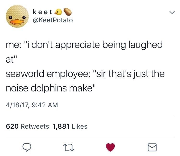 at-seaworld-employee-sir-thats-just-the-noise-dolphins-make-41.jpeg