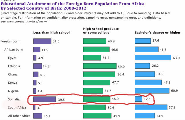 Census-on-Foreign-born-Africans-level-of-education-in-US-Tadias-Magazine-cover.jpg