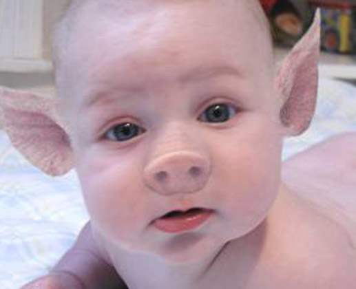 Cute-Baby-With-Pig-Face-Funny-Photoshopped.jpg