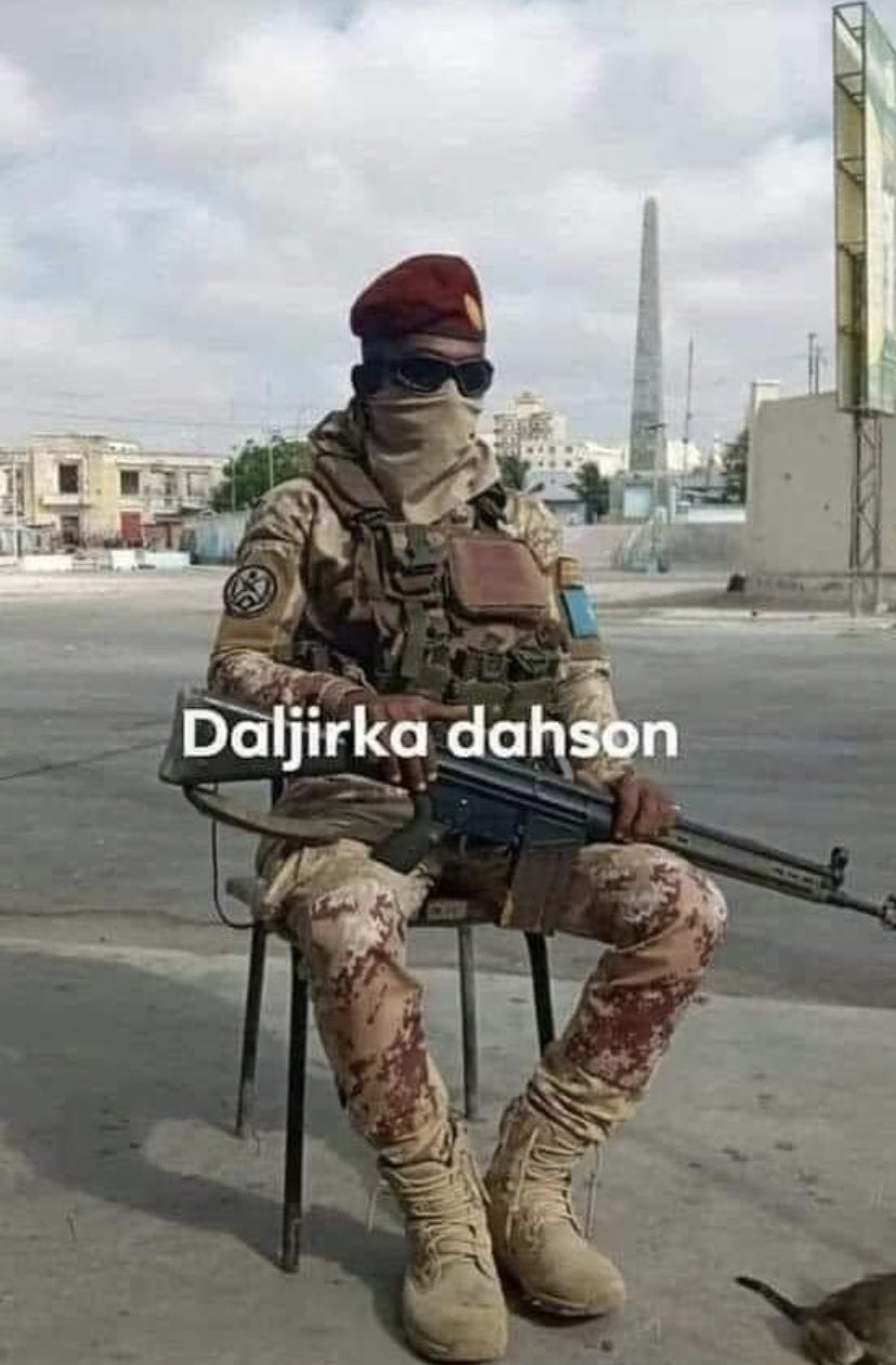 daljirka.jpeg