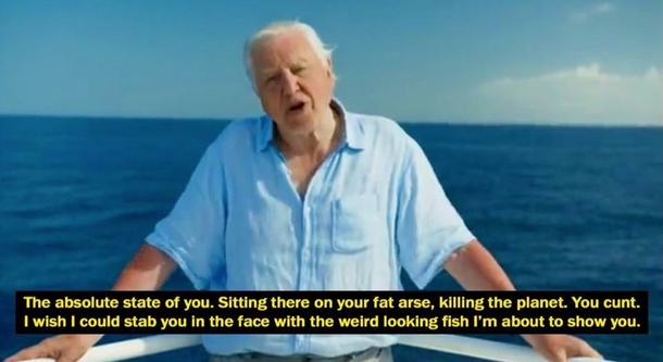 david-attenborough-310237.jpg