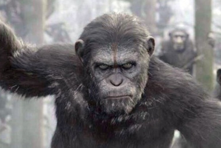 dawn_of_the_planet_of_the_apes_old_caesar_light__1388430331_771x517.jpg