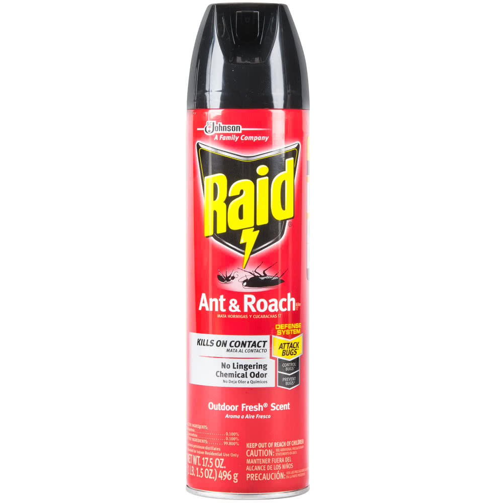 diversey-raid-17-5-oz-aerosol-ant-and-roach-killer.jpg