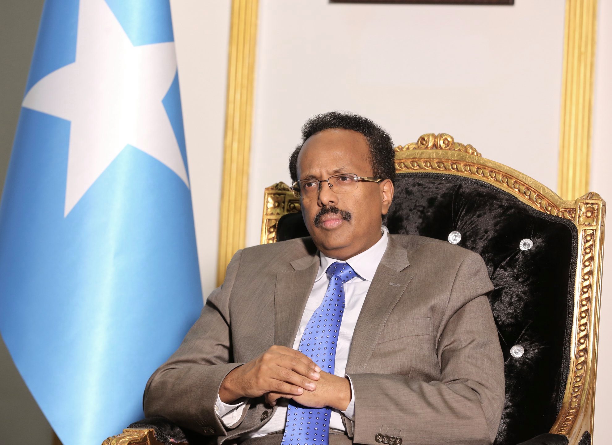 FARMAAJO-DOOXO.jpg