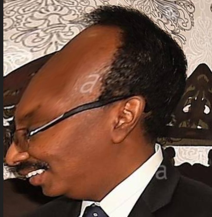 Farmajo forehead.jpg