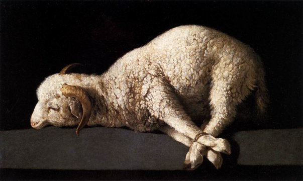 lamb15.jpg