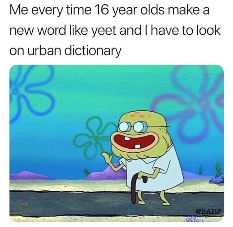 me-every-time-16-year-olds-make-a-new-word-like-yeet-and-i-have-to-look-on-urban-dictionary.jpeg