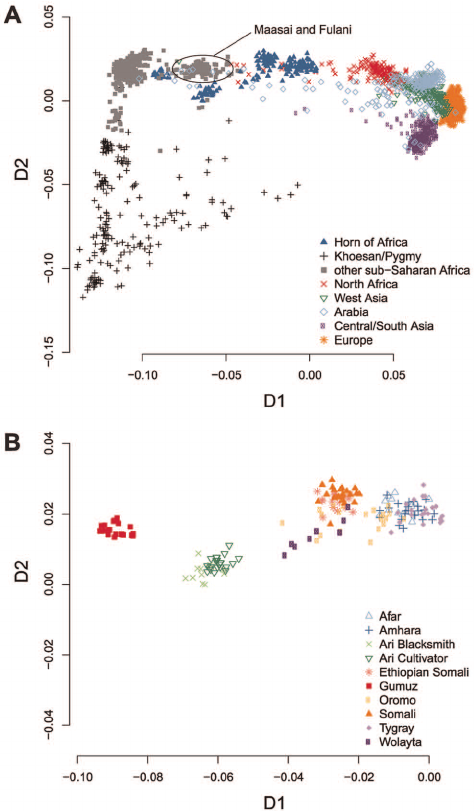 Multidimensional-scaling-analysis-shows-the-great-genetic-diversity-within-the-Horn-of.png