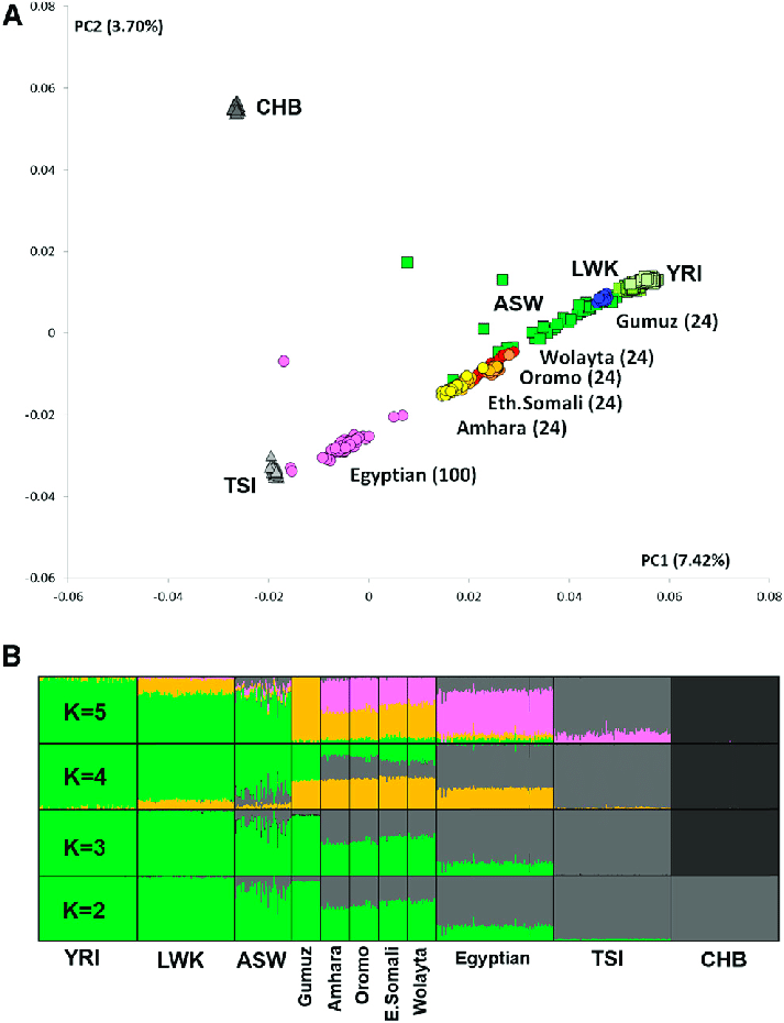 PCA-and-ADMIXTURE-Analysis-PCA-A-and-ADMIXTURE-analysis-B-of-the-newly-sequenced.png