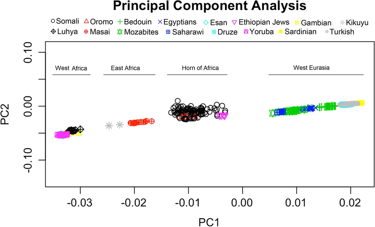 PCA_of_95_Somalis.png