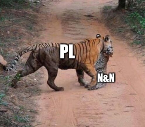 PL & N&N.jpg