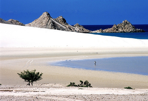 qalansiyah-beach.jpg