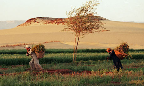 sahara-desert-used-to-be-farmer-land.jpg