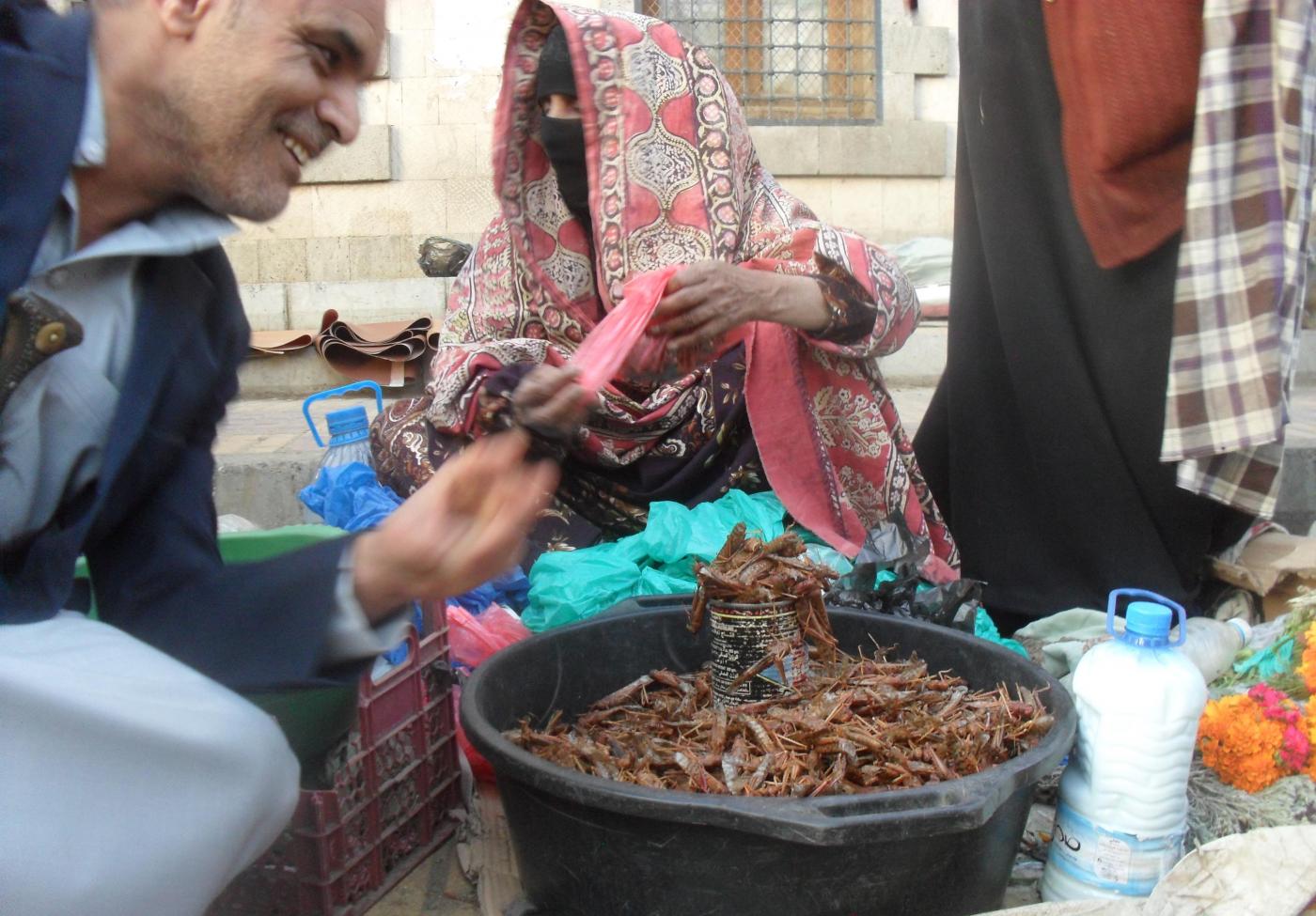 sanaa_old_city_locust_sellers_mee_naseh_shaker.jpg