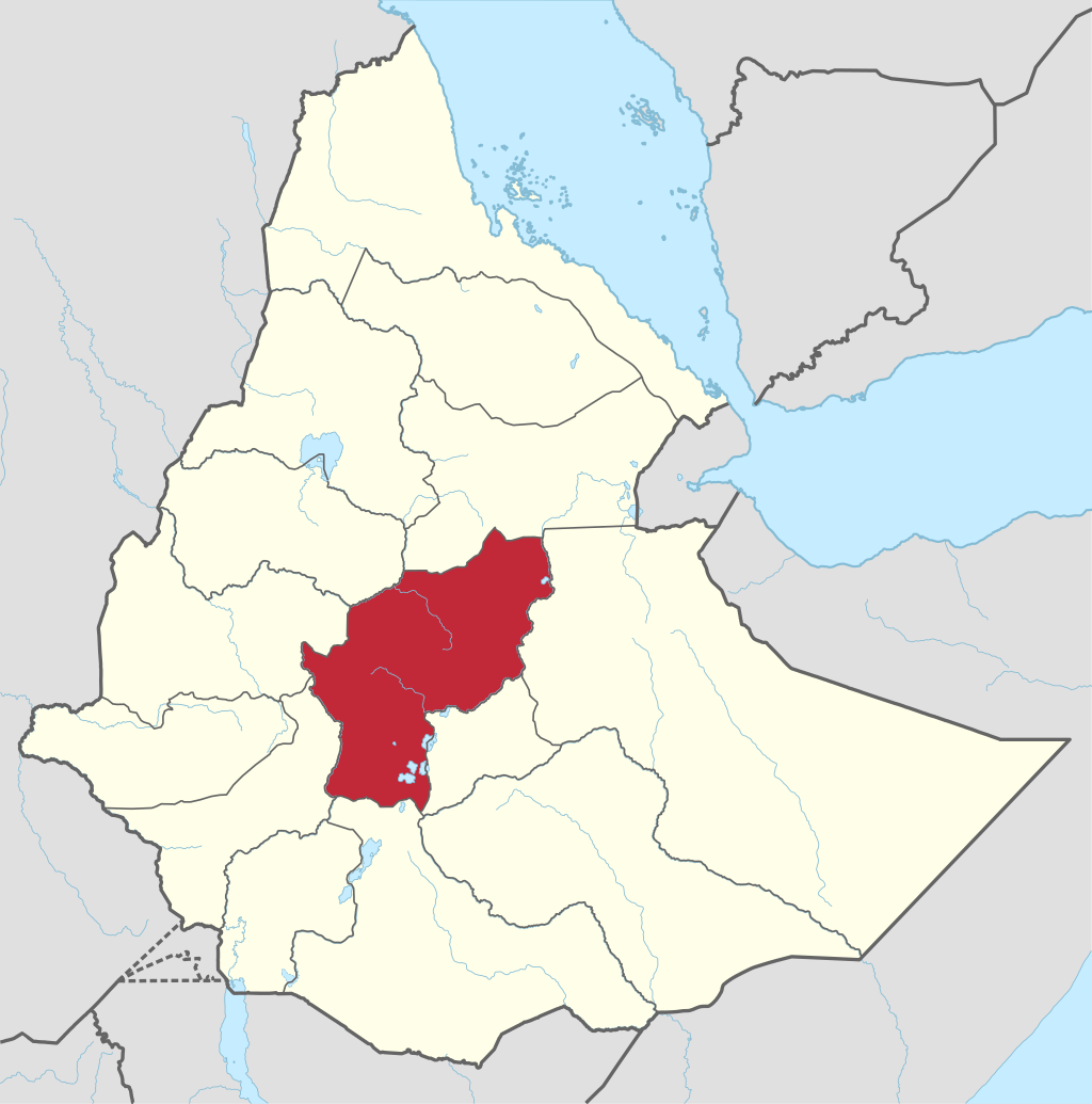 Shewa_in_Ethiopia_(1943-1987).svg (1).png