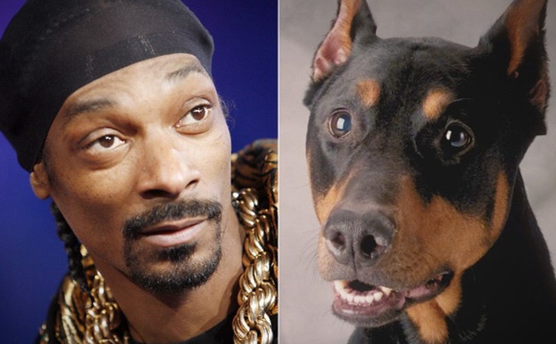 snoop-dogg-als-na-klar-hund-6d78t324fs-20.jpg