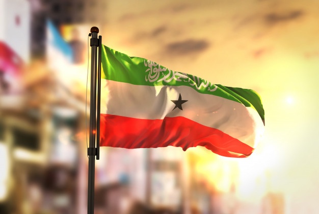 somaliland-flag-against-city-blurred-background-sunrise-backlight_1379-1661.jpg