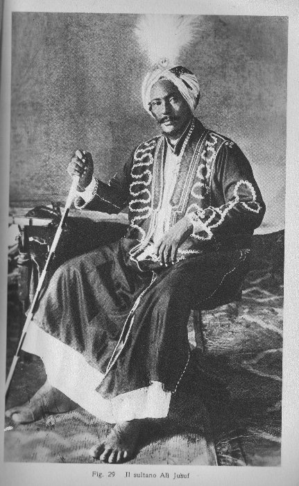 Sultan_Ali_Yusuf_Kenadid.png