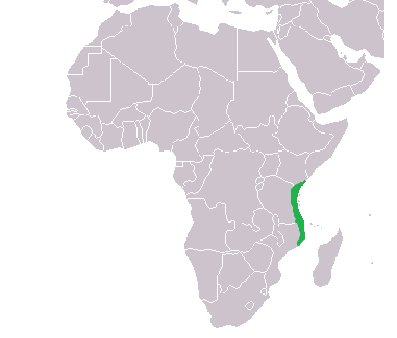 Swahili_coast.png