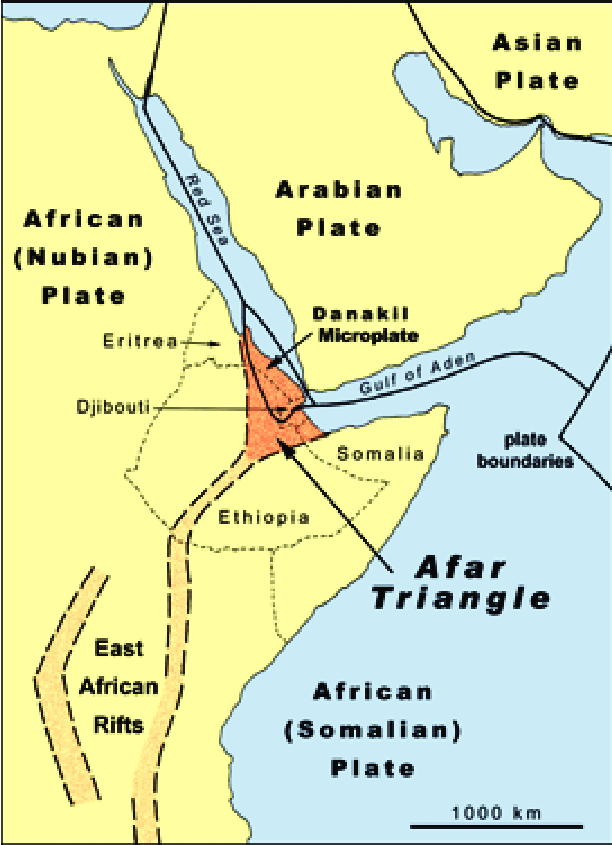 The-plate-boundaries-that-converge-on-the-Afar-Triangle.png