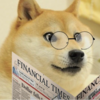 Stay informed doge.png