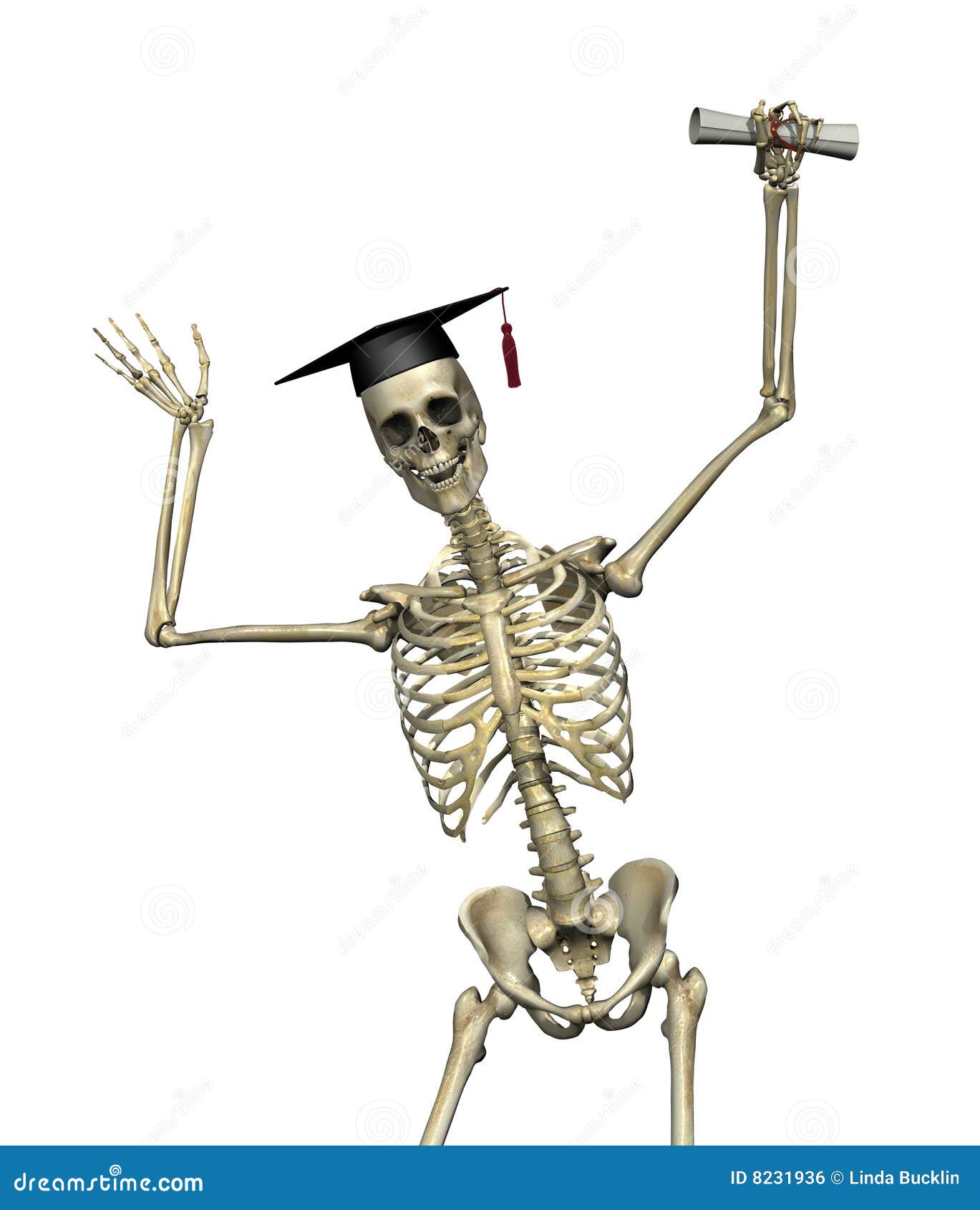 skeleton-graduate-8231936.jpg