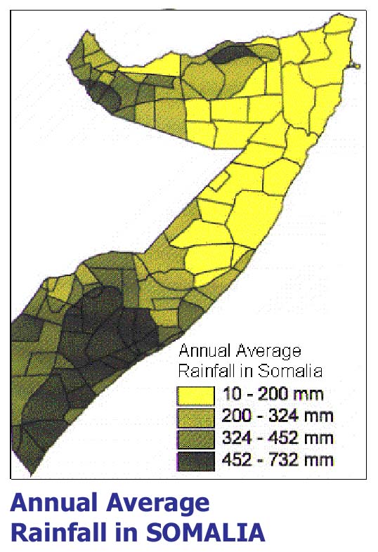 Rainfall.jpg