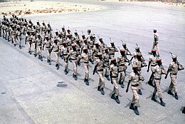 260px-Somali_troops.jpg