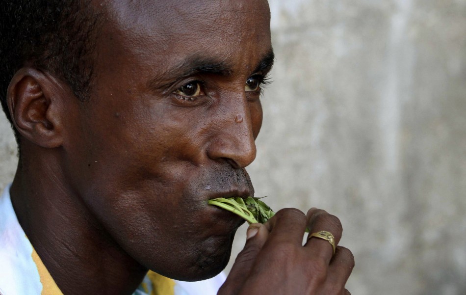 man-munches-khat.jpg