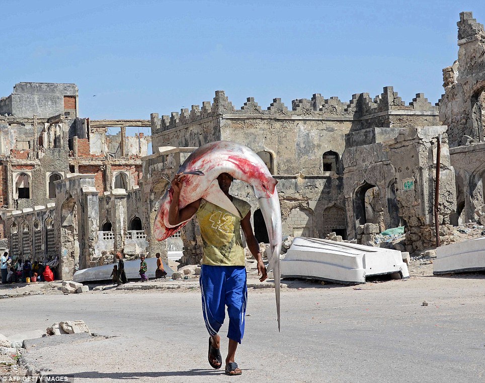 Gone fishing, Somalia style: Man carries his eight-foot shark back ...