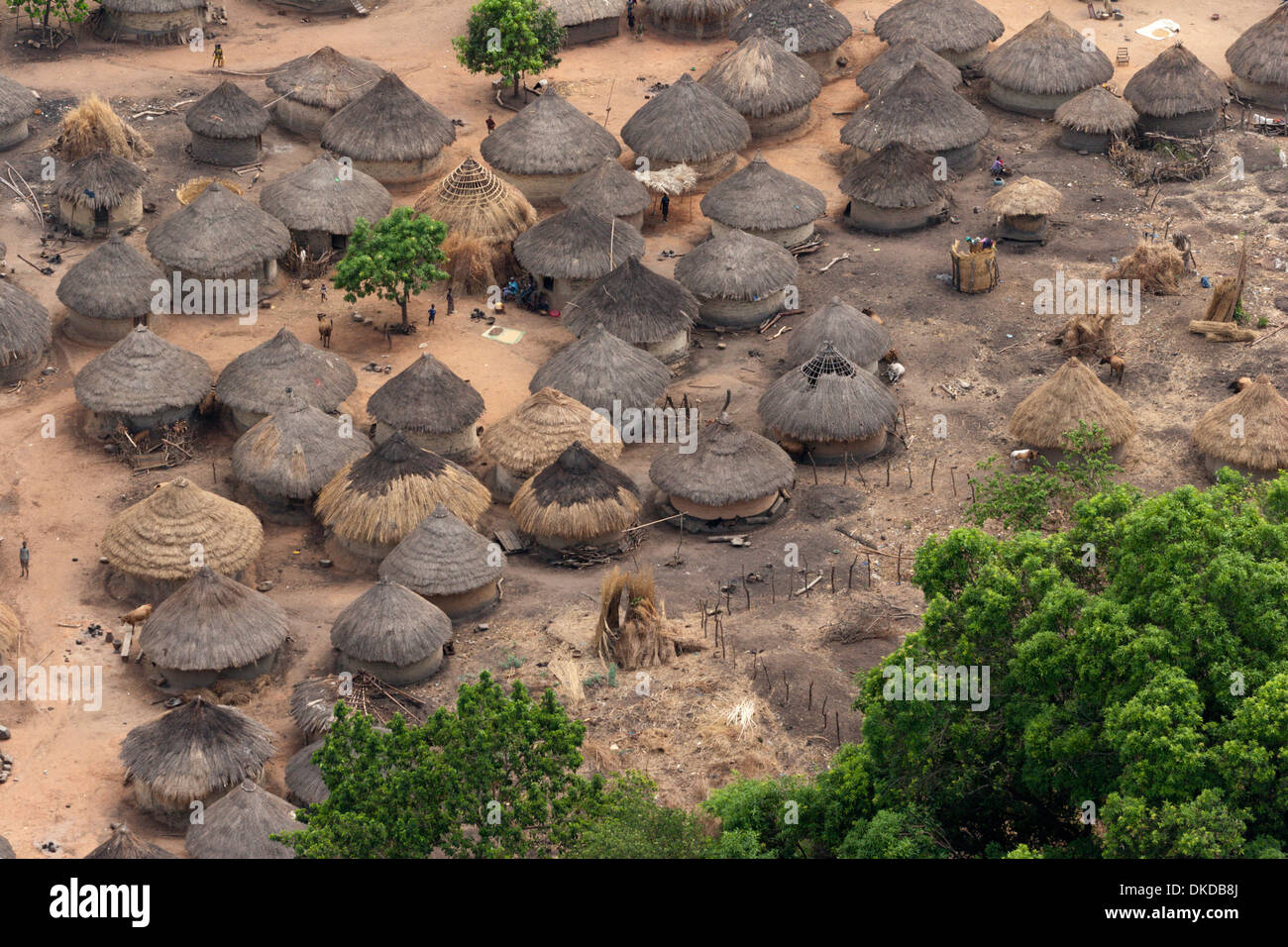 village-guinea-africa-mud-hut-grass-roof-DKDB8J.jpg