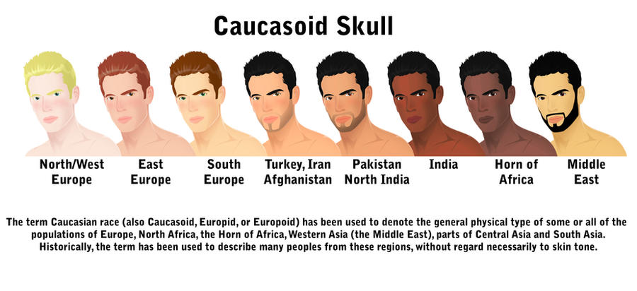 caucasoid_skull_by_dizneykhan-d57ccow.jpg