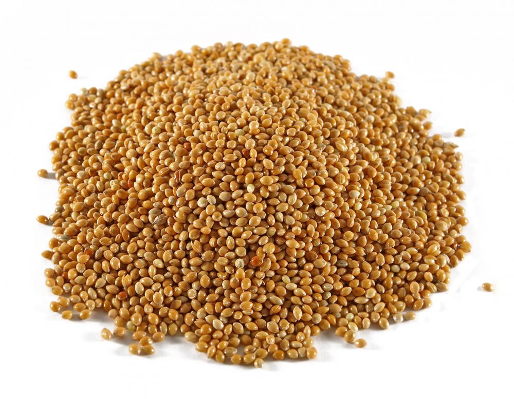 pile-of-sorghum-grain.jpg