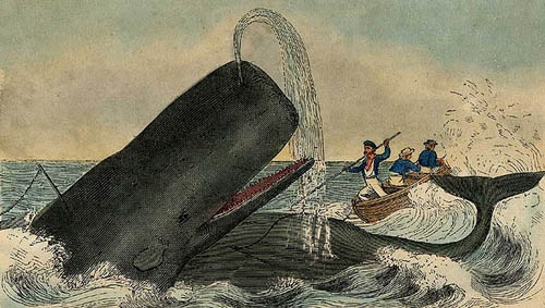 whaling2.jpg