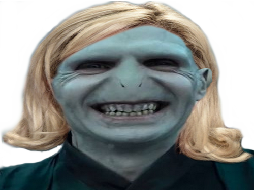 1491310872-voldemort-mr.png