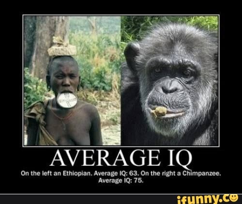 On the AVERAGE left an Ethiopian. On IQ 'On the tatt an Avorage 63. On the  right - iFunny Brazil