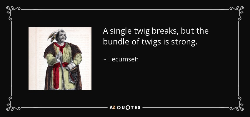 quote-a-single-twig-breaks-but-the-bundle-of-twigs-is-strong-tecumseh-29-15-86.jpg