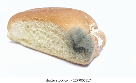 expired-bread-fungus-isolated-on-260nw-1299000517.jpg