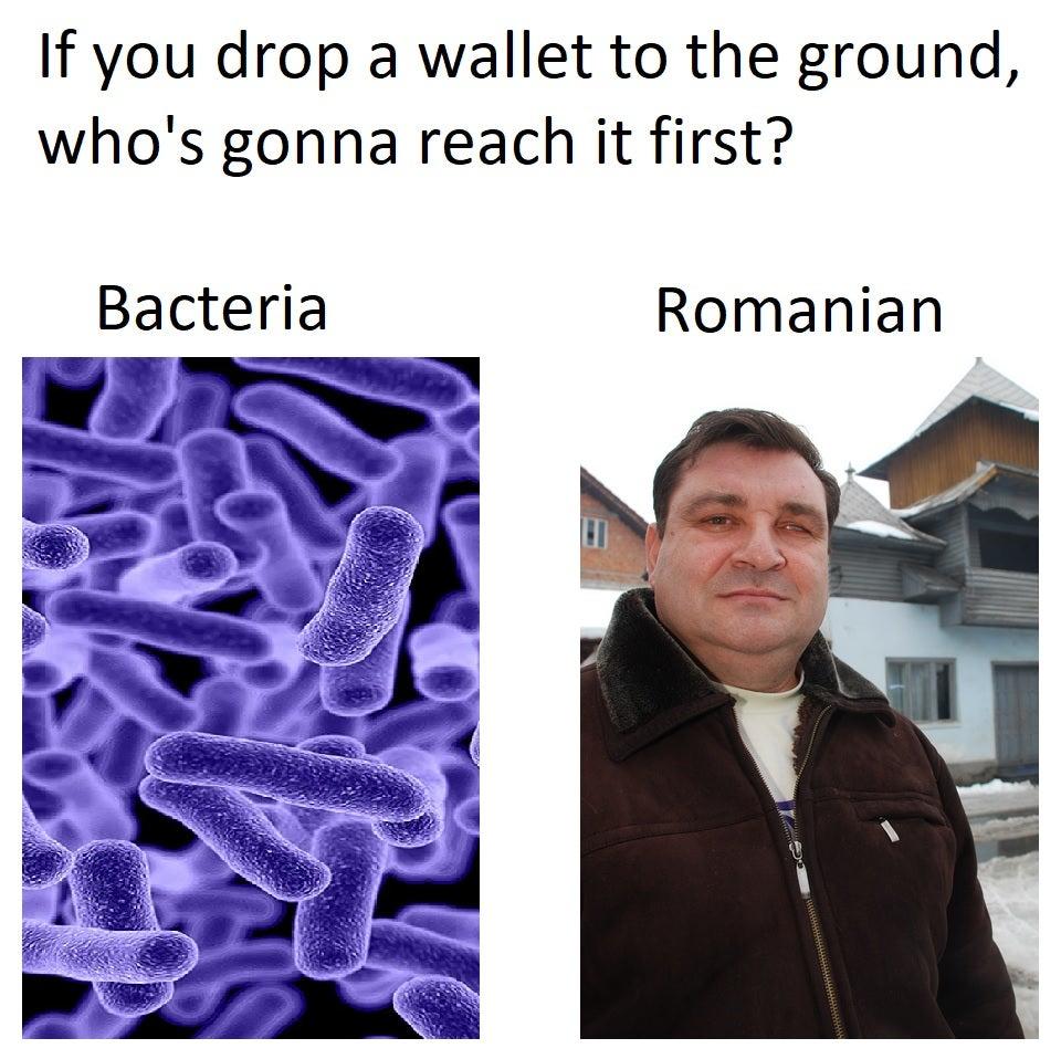 If You Drop a Wallet, Who's Gonna Reach It First? | Romanians Stealing  Wallets | Know Your Meme