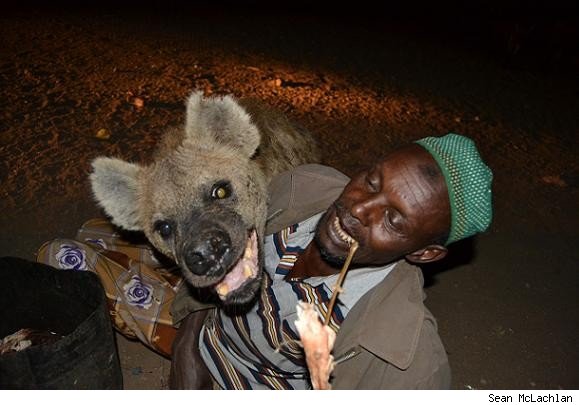 hyenalead.jpg