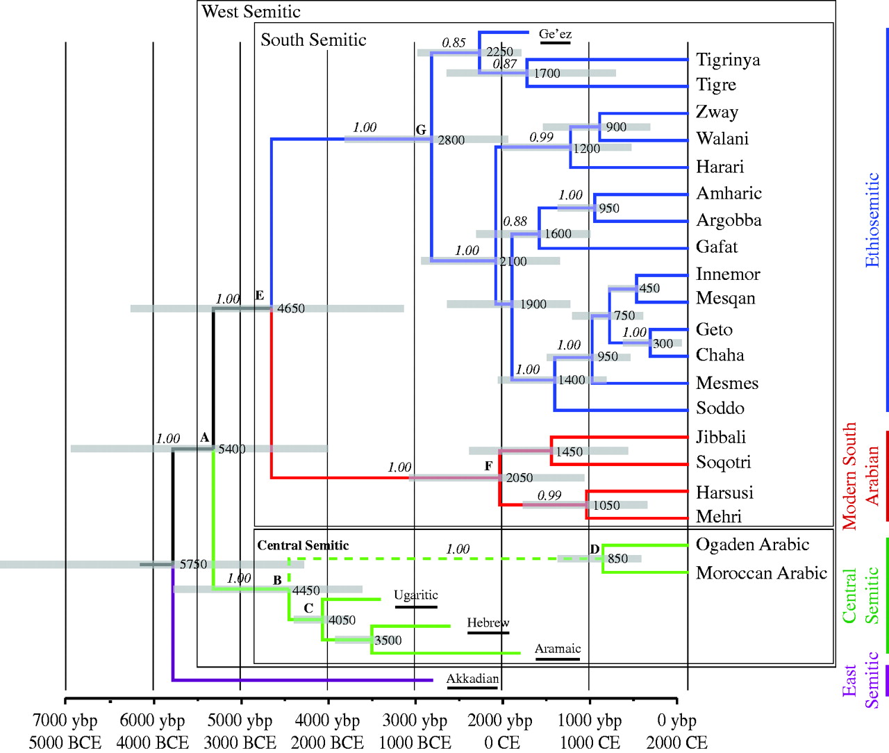 Semitic_languages_genealogy.jpg