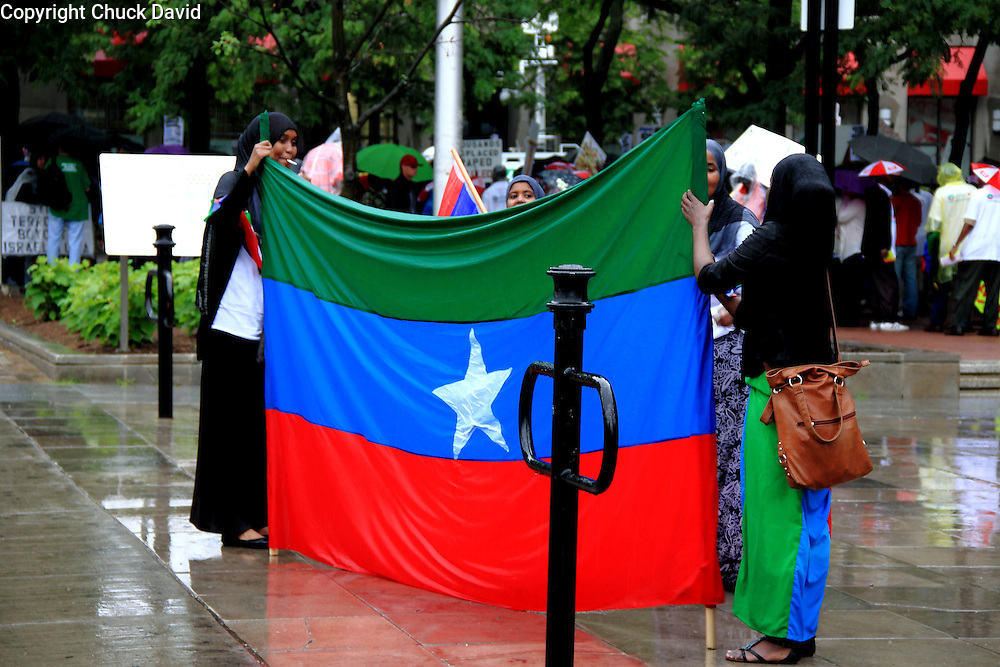 G20-Protest-Ogaden-Western-Somali-Flag-Unfurled.jpg