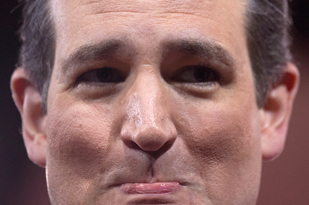 ted_cruz14.jpg