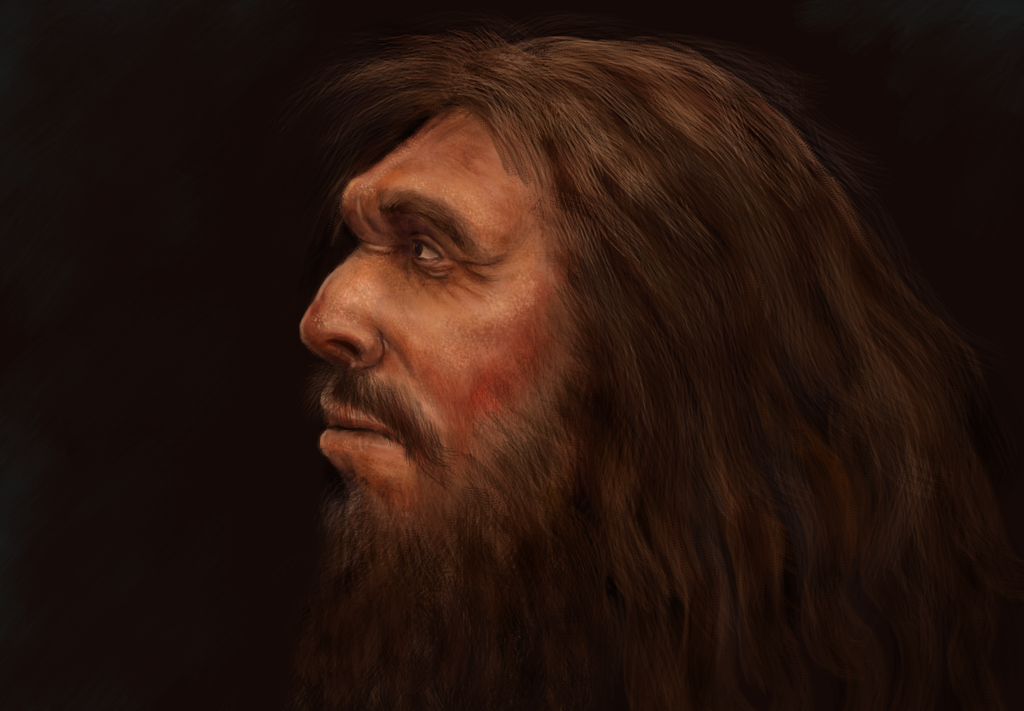 neanderthal_profile_by_mihin89-db4kp4d.png