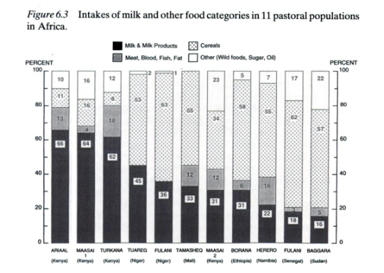 Some researchers write about milk anemia as though it were a disease only suffered by children, because they reason that only at a young age can cow’s milk be so important in the diet. But among the Tutsi milk could represent >50% of dietary calories even in adulthood. 