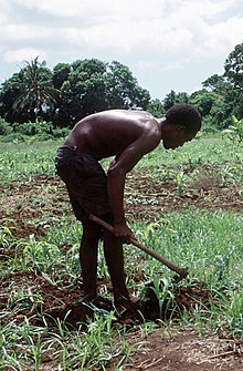 220px-Somalia_Bantu_farmer.JPEG